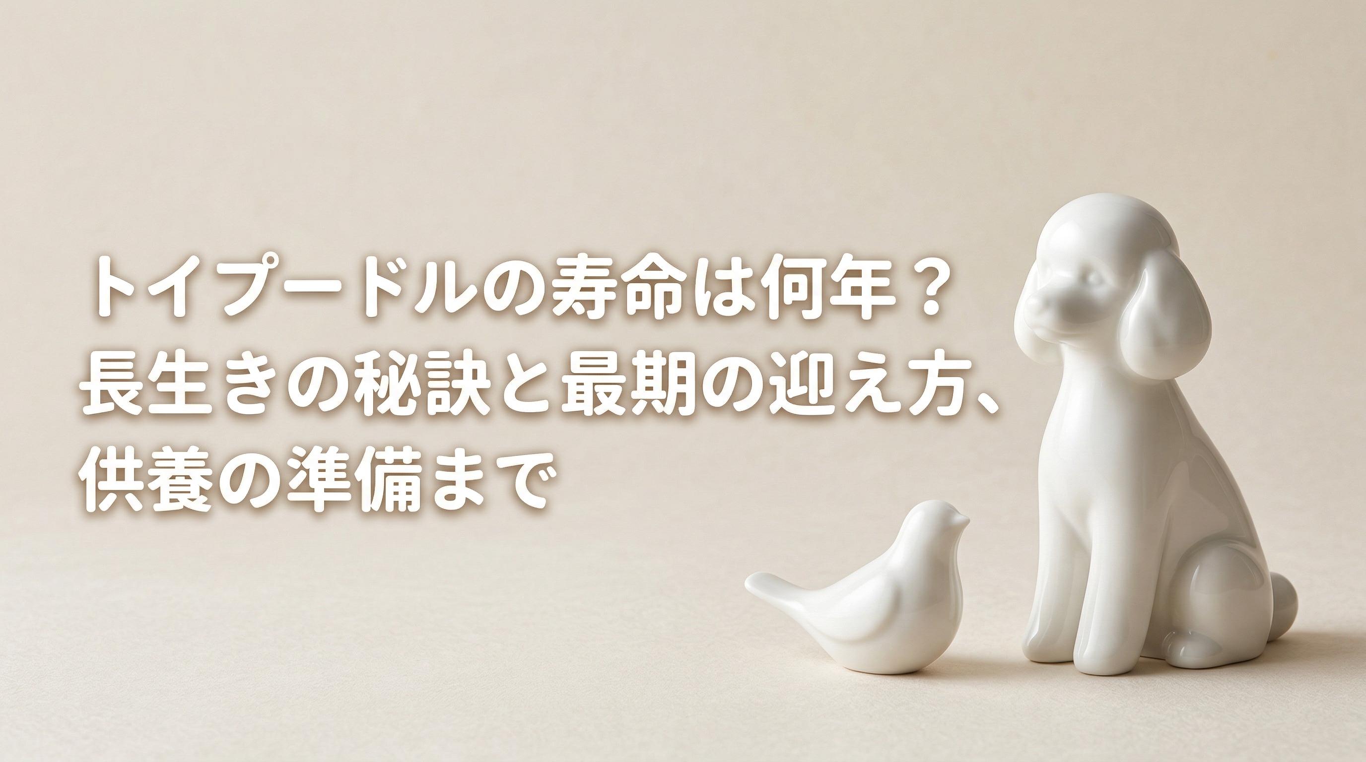 トイプードルの寿命は何年?長生きの秘訣と最期の迎え方、供養の準備まで