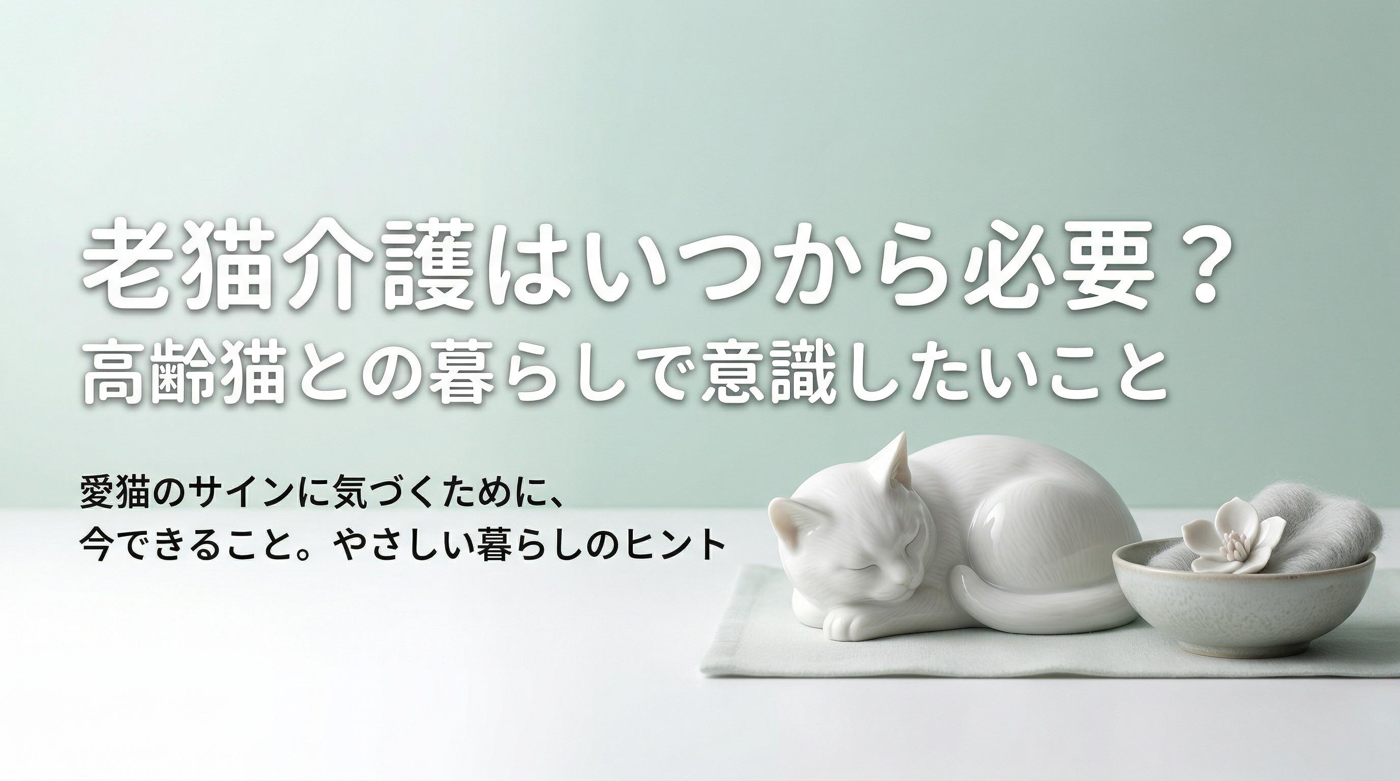 老猫介護は「終わりに向けた準備」ではなく「今を快適にする工夫」