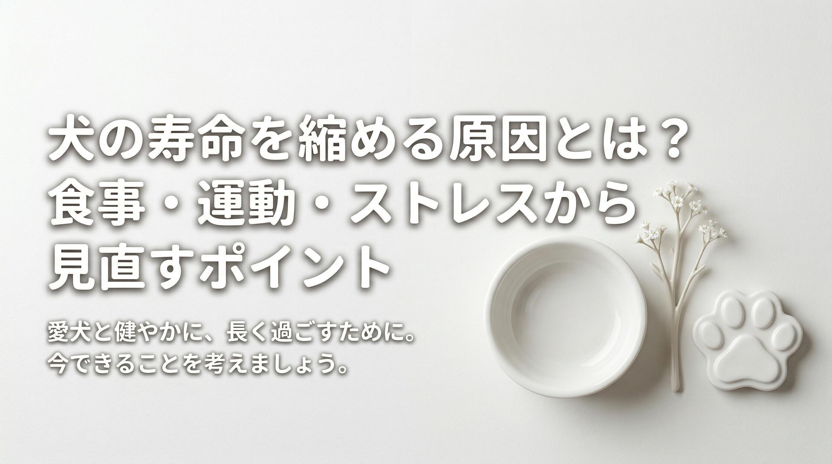 犬の寿命を縮める原因とは?食事・運動・ストレスから見直すポイント