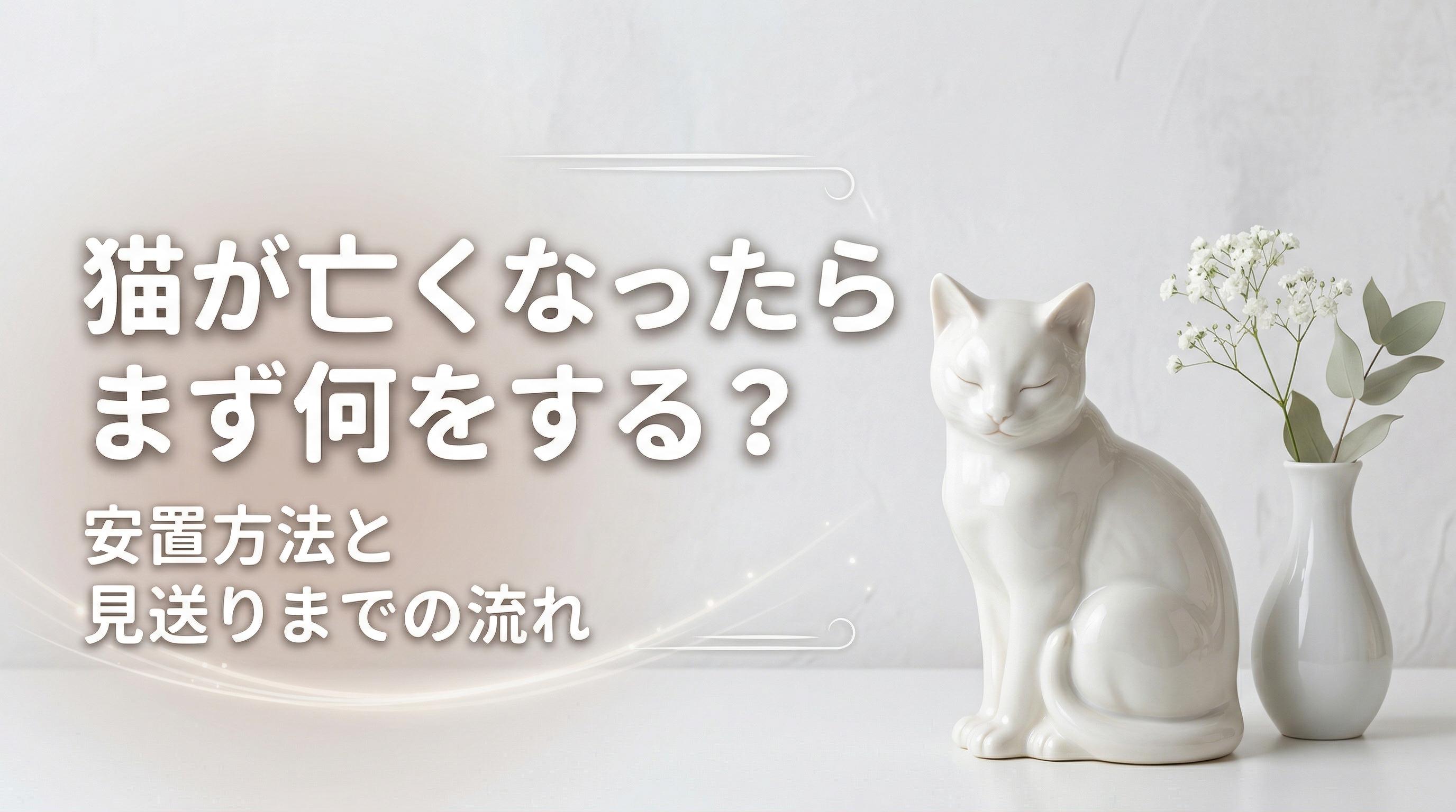 猫が亡くなったらまず何をする?安置方法と見送りまでの流れ