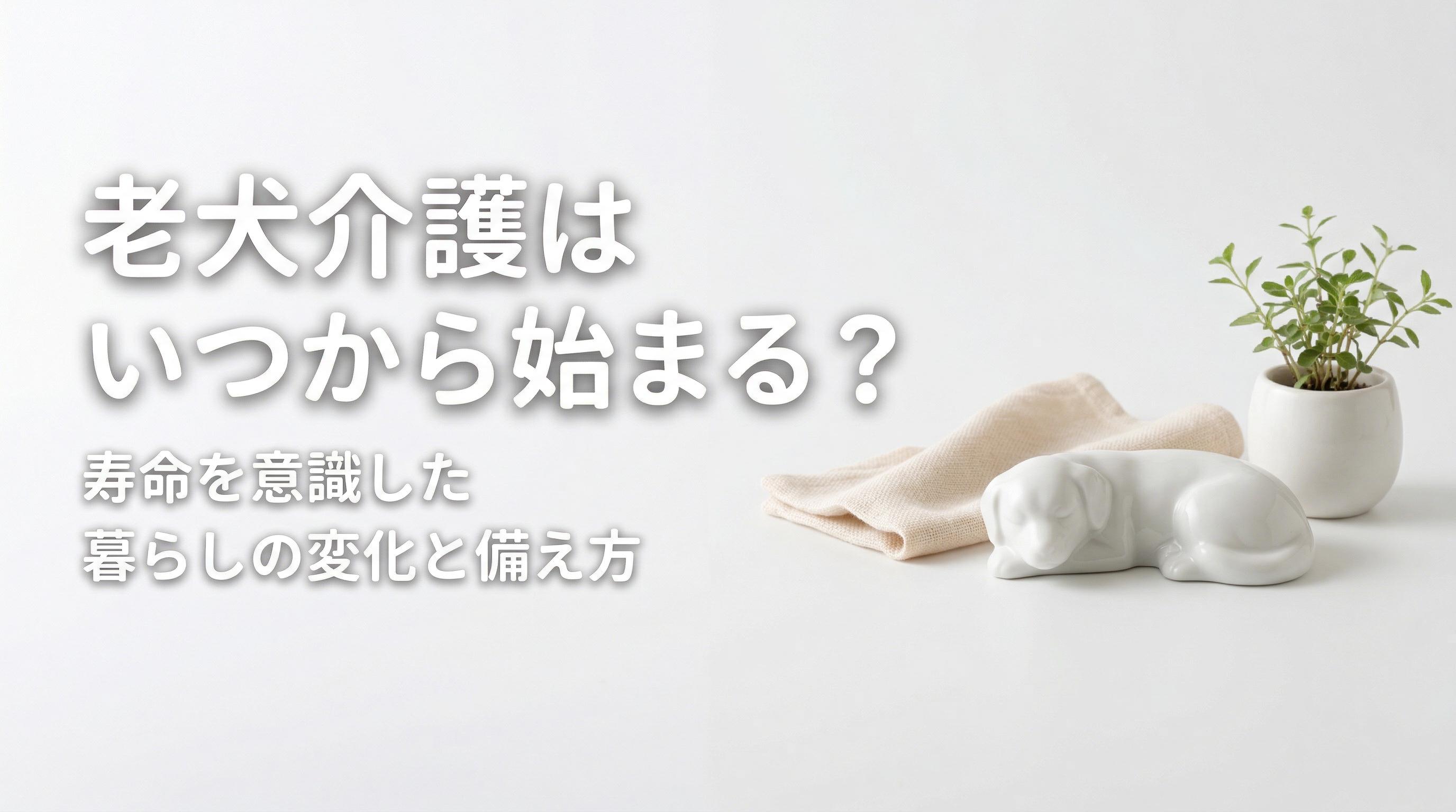 老犬介護はいつから始まる?寿命を意識した暮らしの変化と備え方