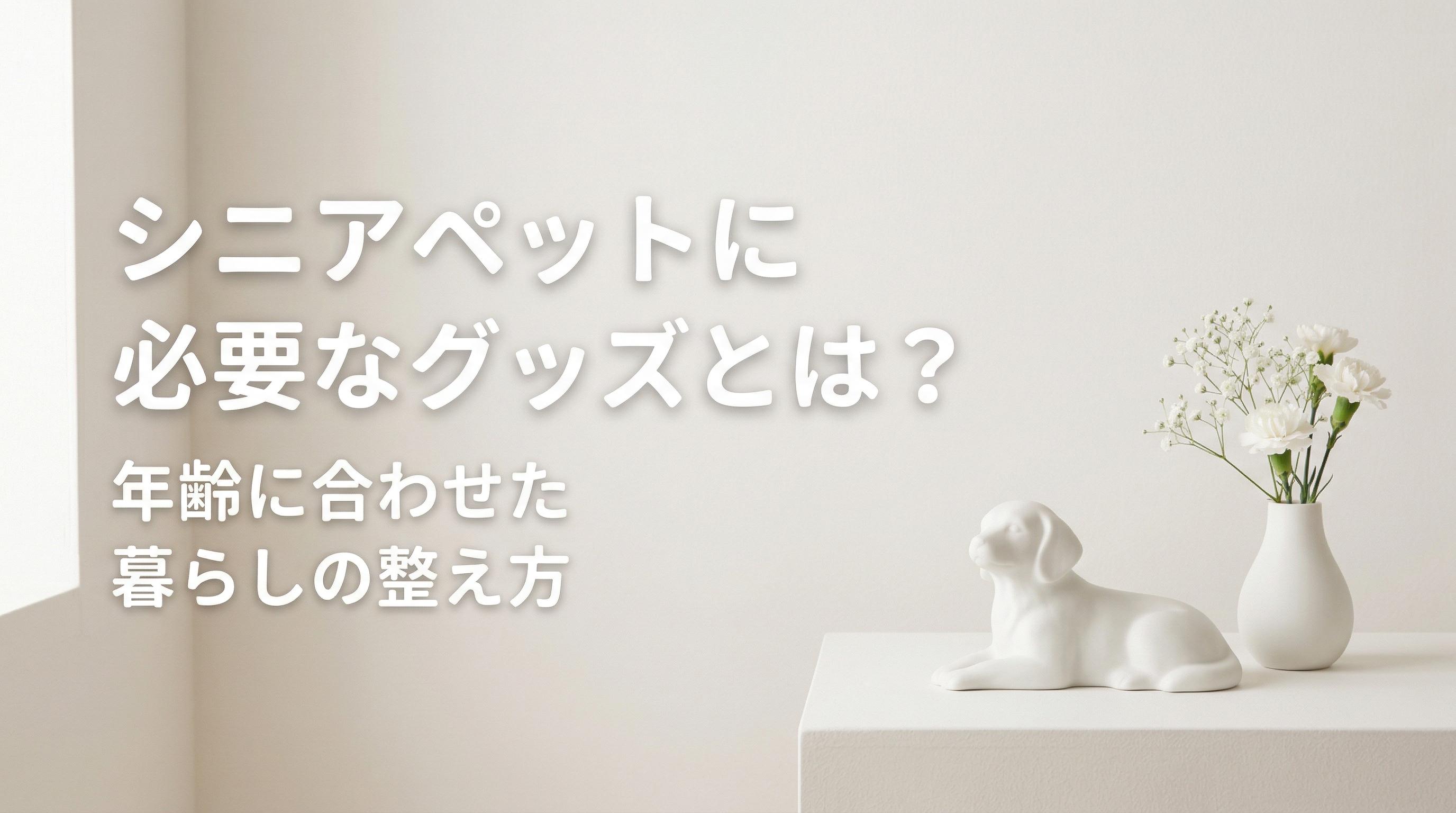シニアペットに必要なグッズとは?年齢に合わせた暮らしの整え方