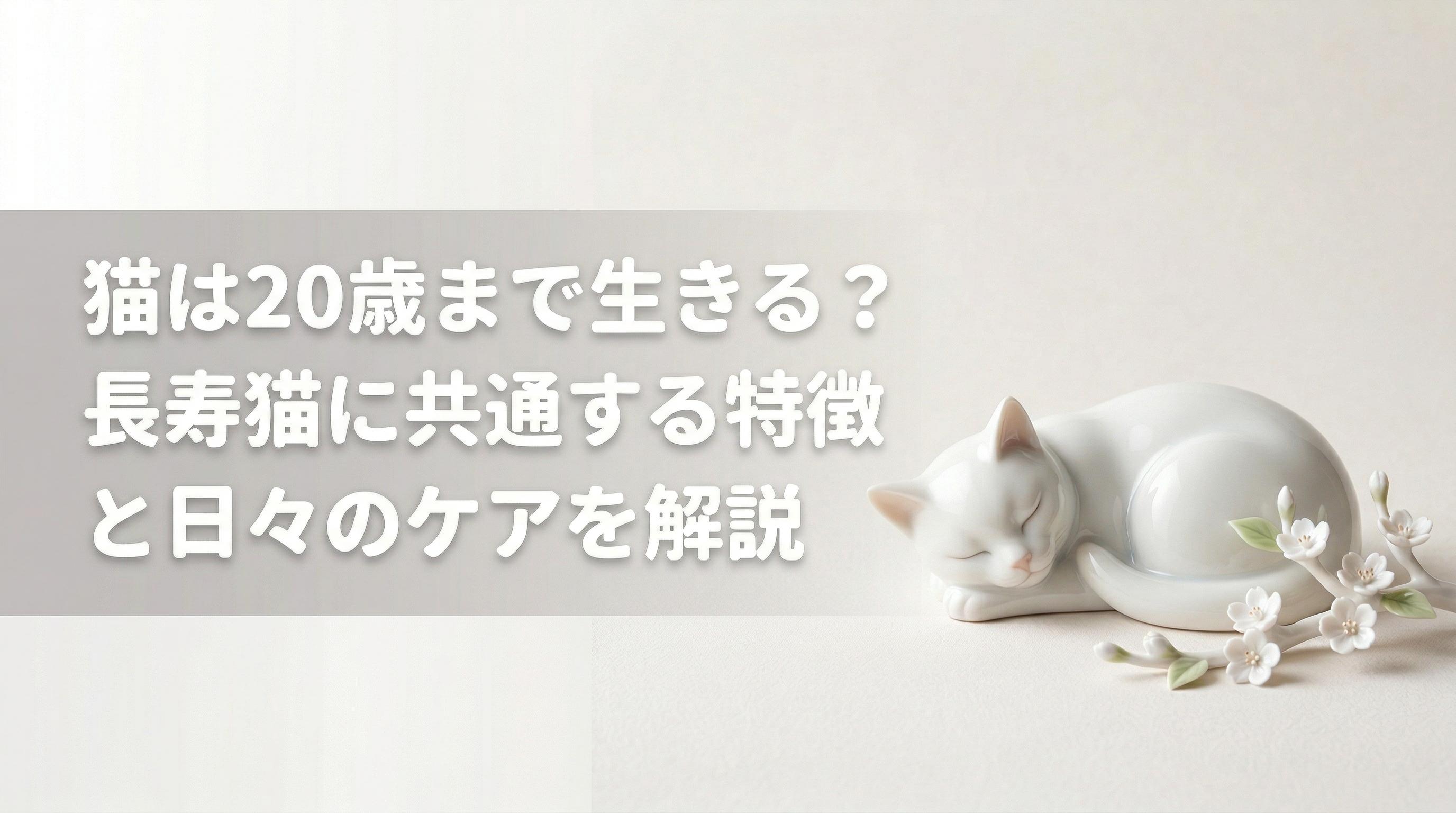 猫は20歳まで生きる?長寿猫に共通する特徴と日々のケアを解説