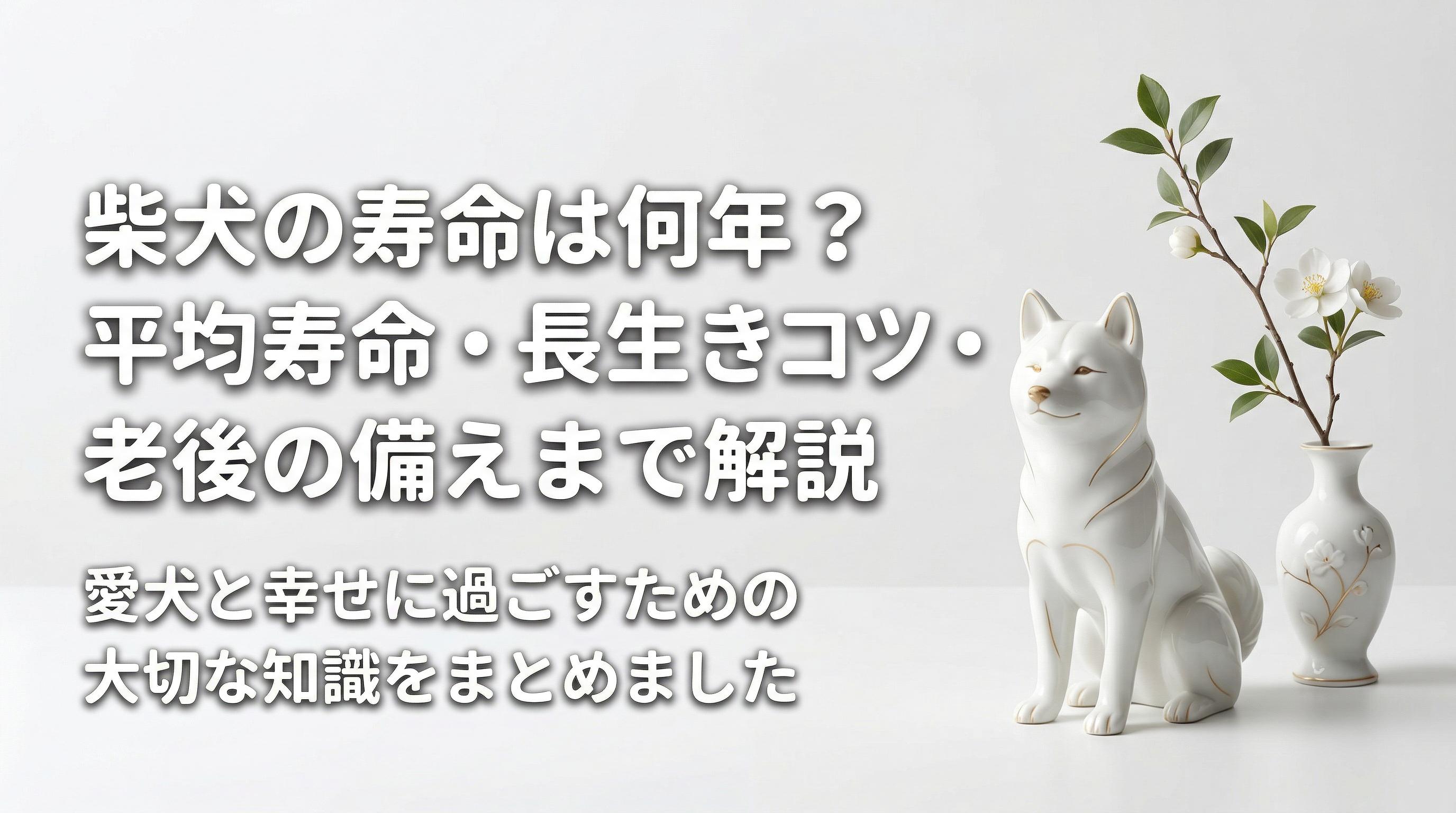柴犬の寿命は何年?平均寿命・長生きのコツ・老後の備えまで解説