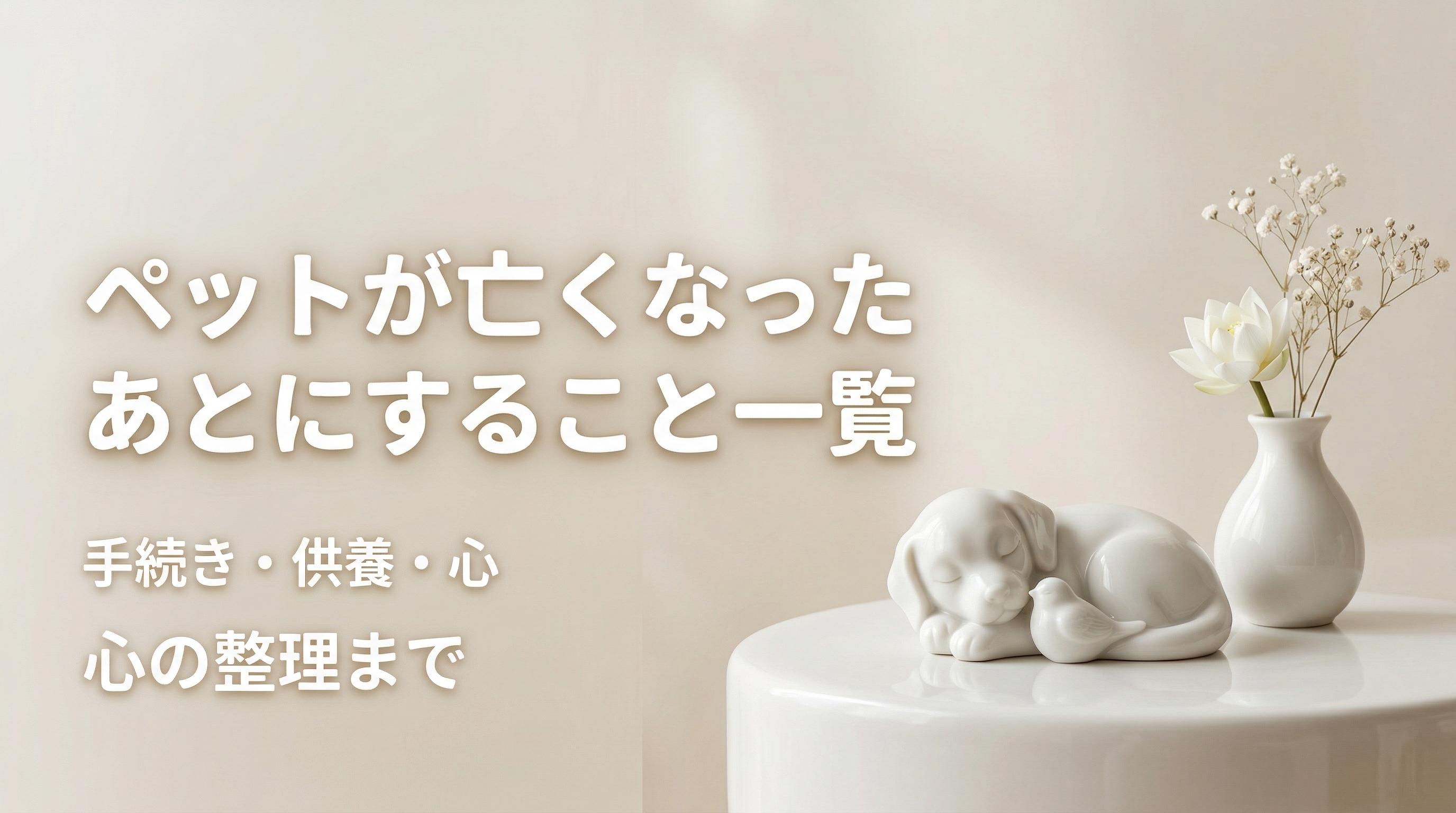 ペットが亡くなったあとにすること一覧|手続き・供養・心の整理まで