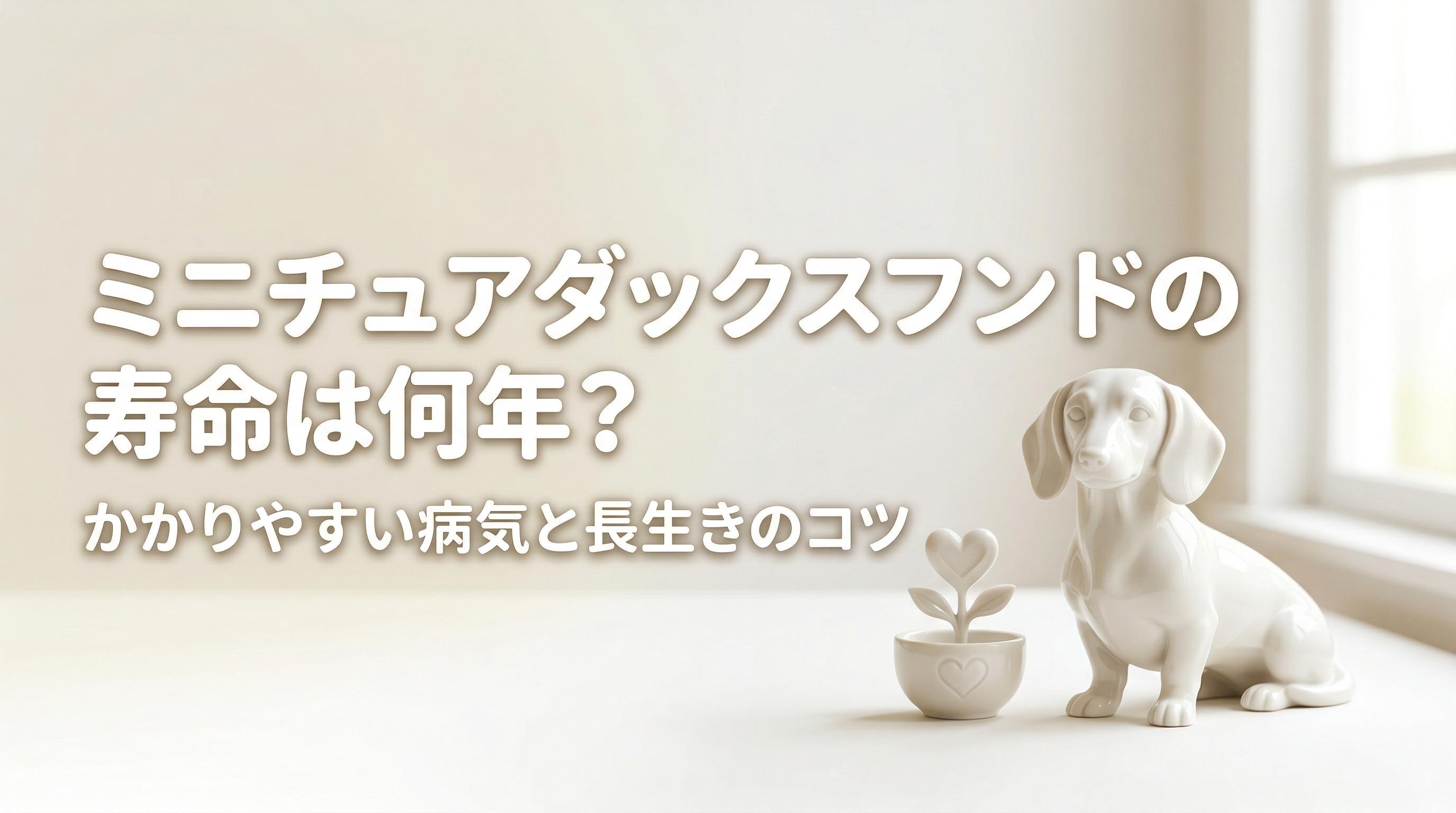 ミニチュアダックスフンドの寿命は何年?かかりやすい病気と長生きのコツ
