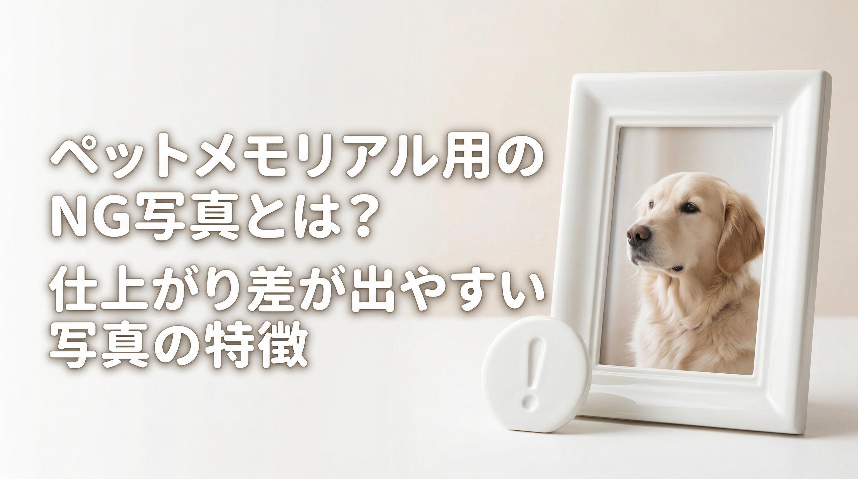 ペットメモリアル用のNG写真とは?仕上がり差が出やすい写真の特徴