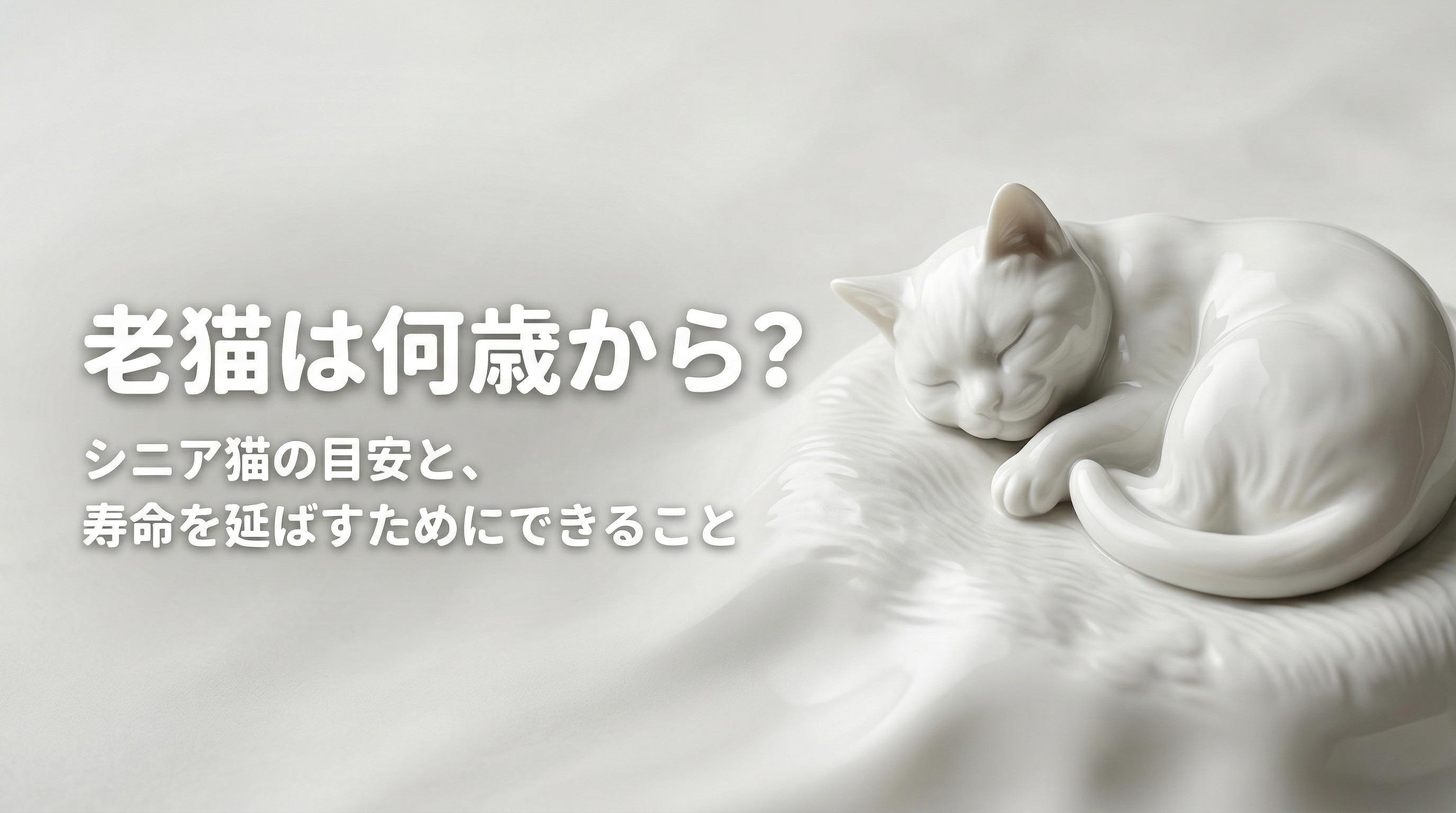 老猫は何歳から?シニア猫の目安と寿命を延ばすためにできること
