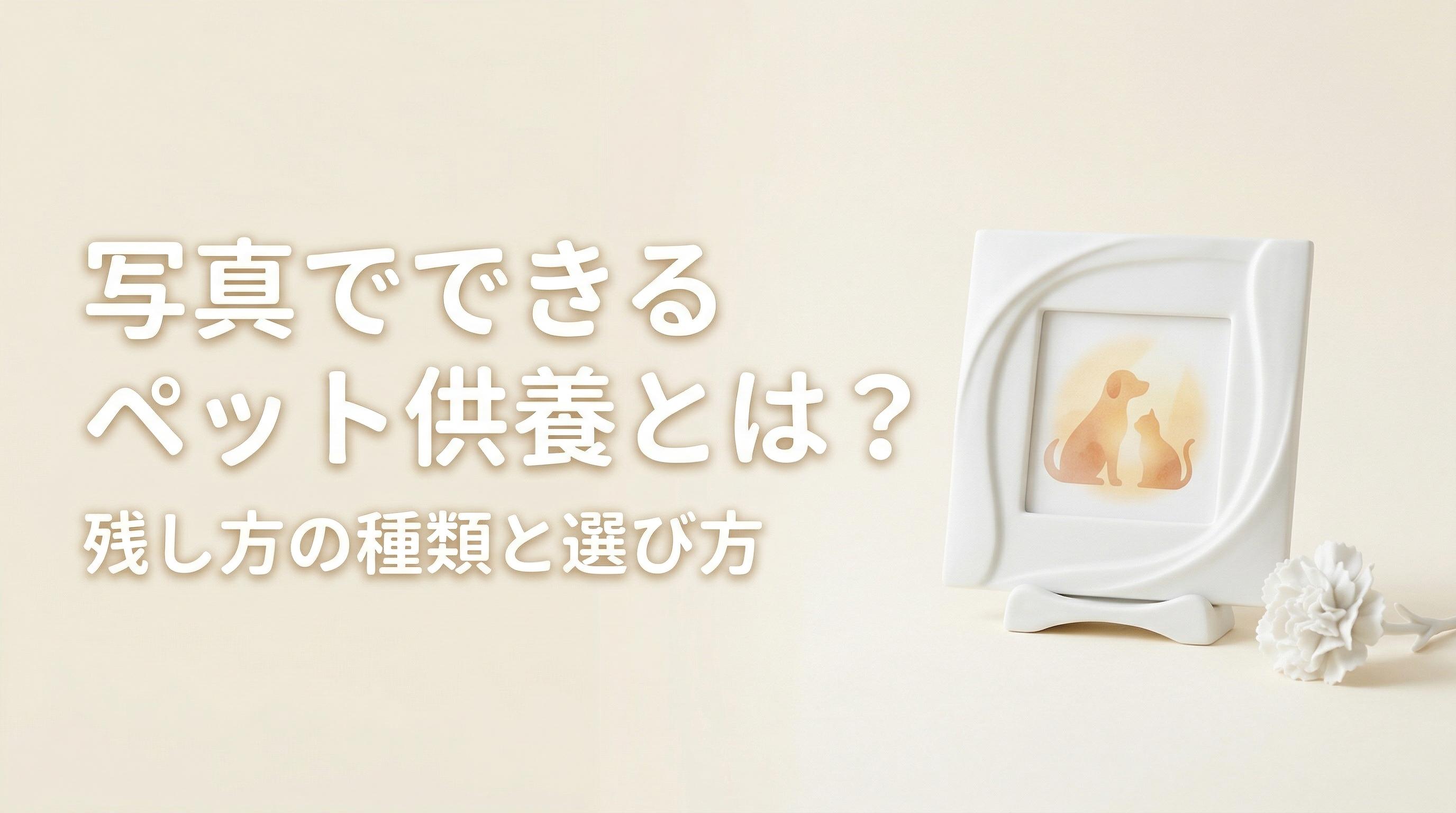 写真でできるペット供養とは?残し方の種類と選び方