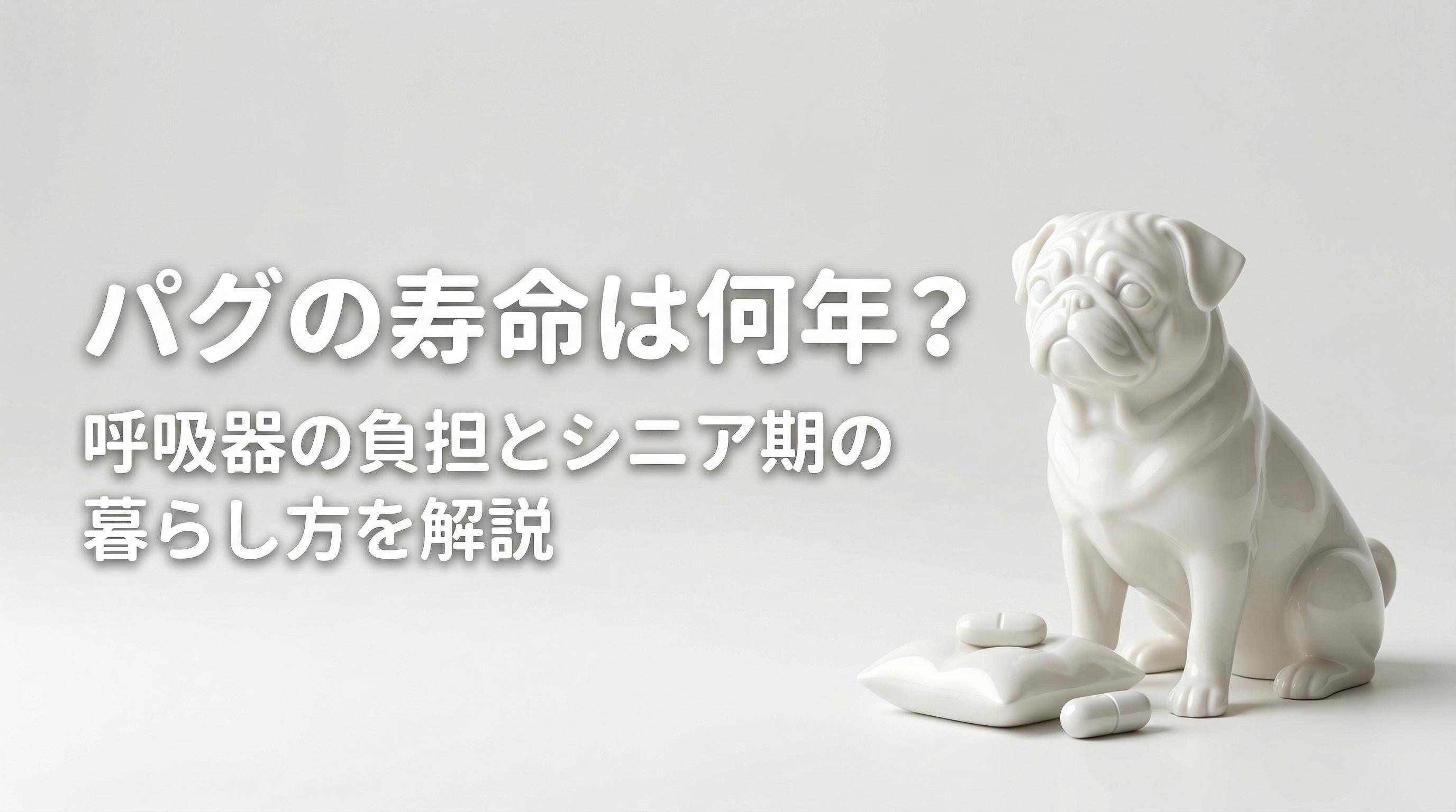 パグの寿命は何年?呼吸器の負担とシニア期の暮らし方を解説