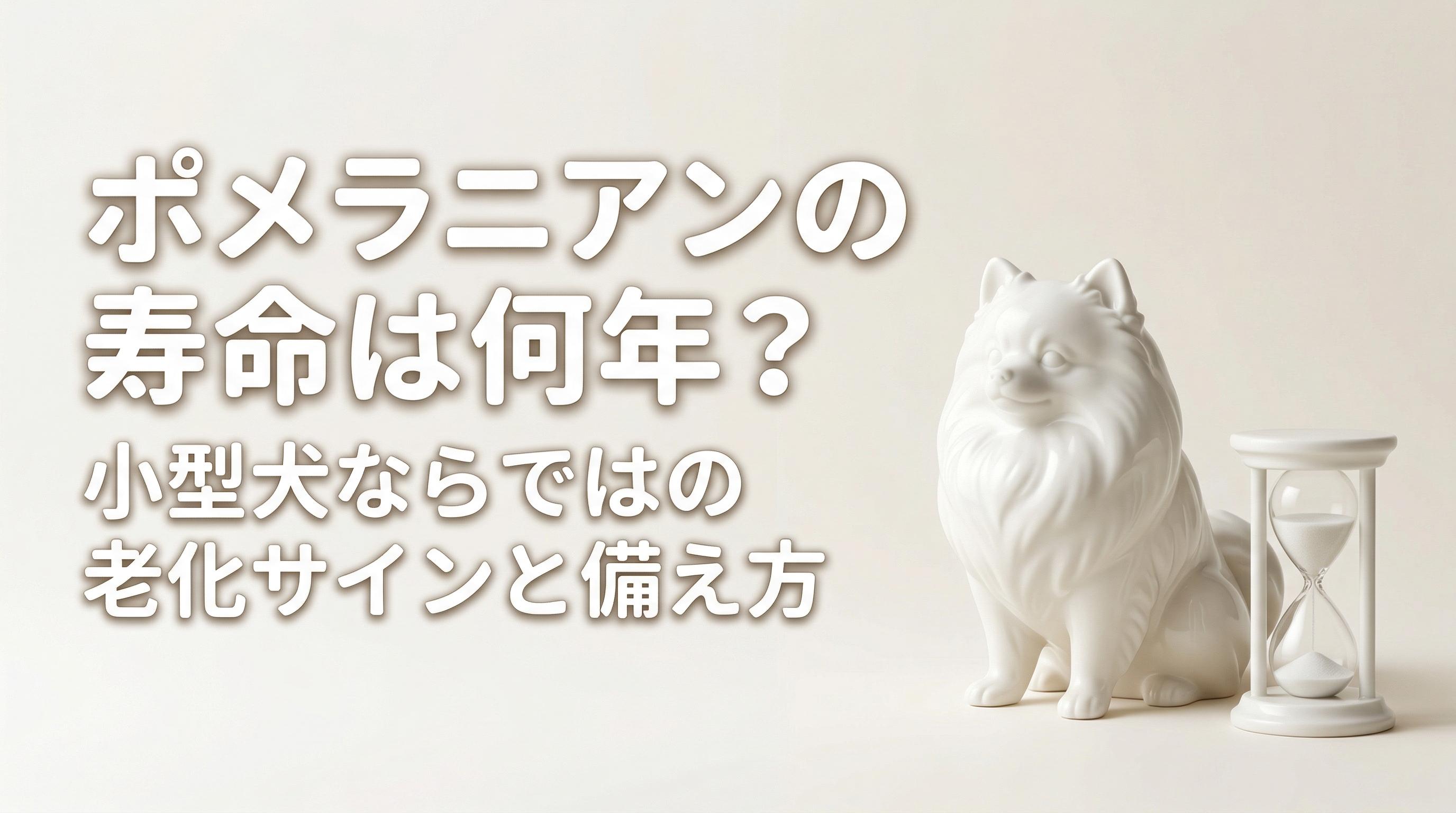 ポメラニアンの寿命は何年?小型犬ならではの老化サインと備え方