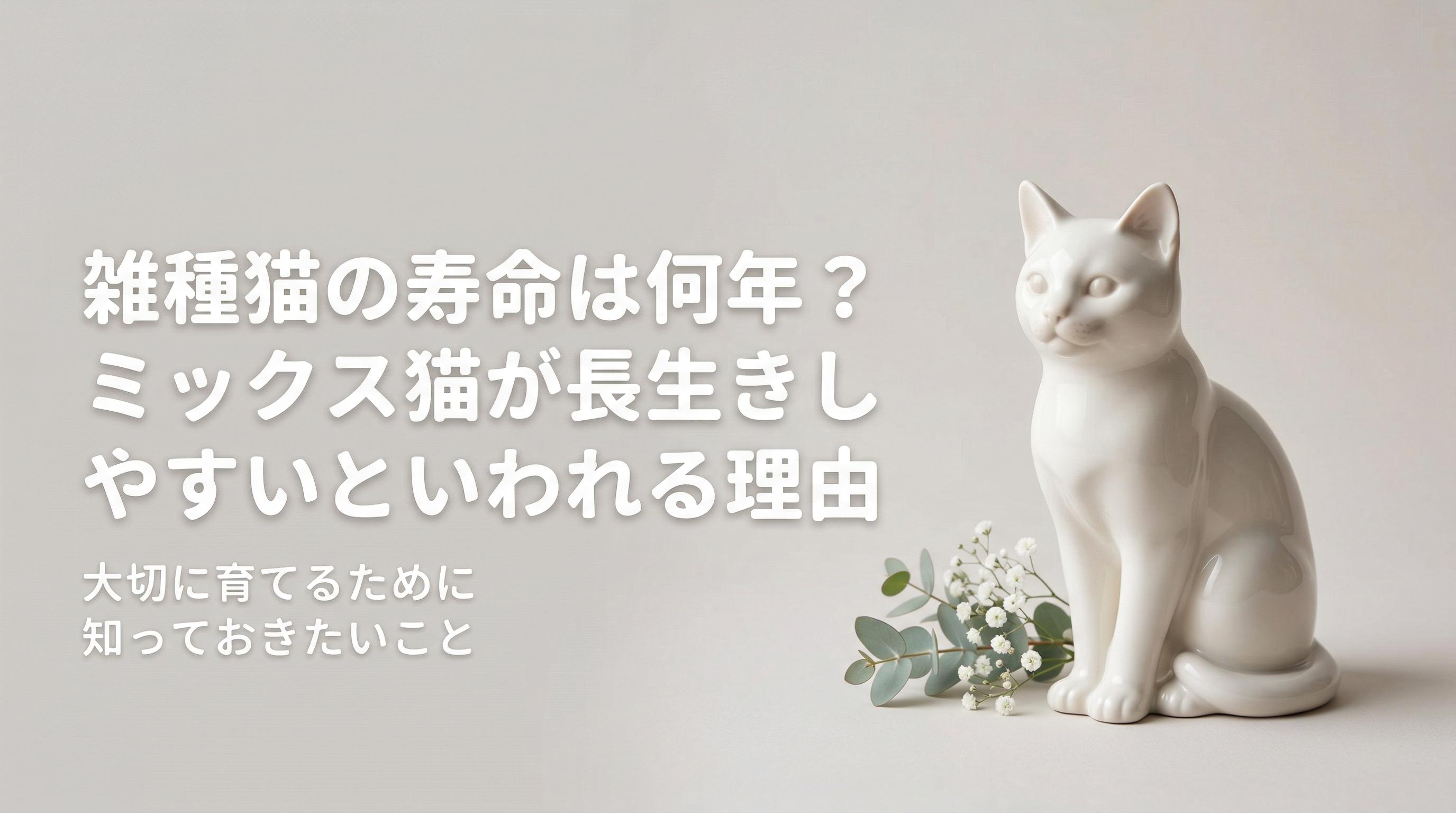 雑種猫の寿命は何年?ミックス猫が長生きしやすいといわれる理由