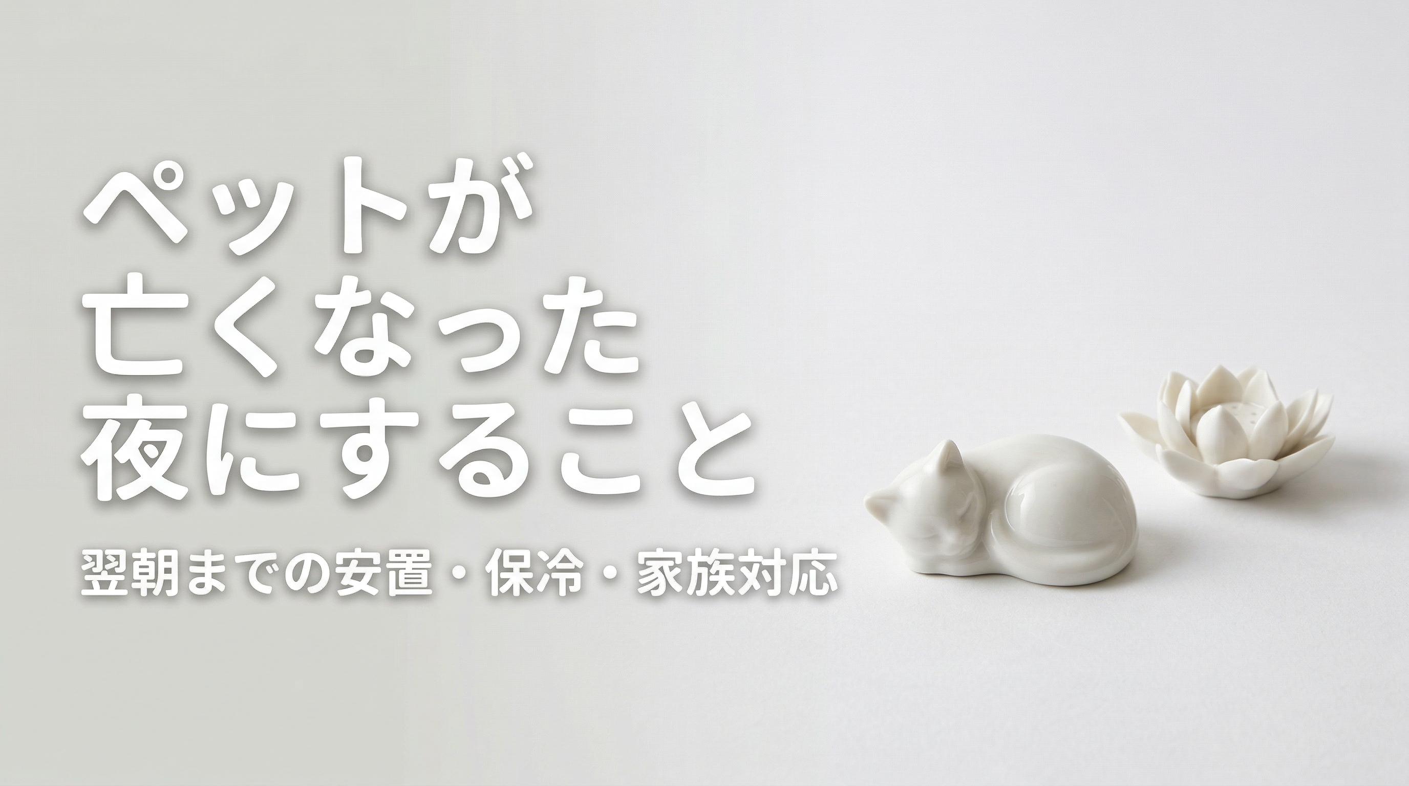 ペットが亡くなった夜にすること|翌朝までの安置・保冷・家族対応